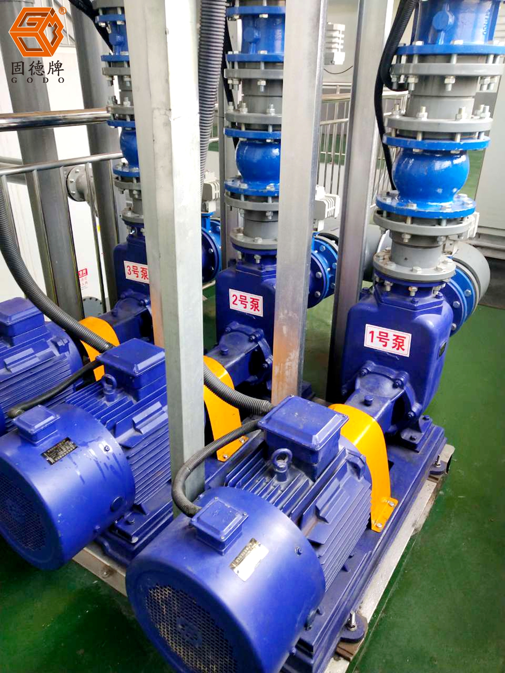 IMG_20240314_135750 IMG_20240314_135750