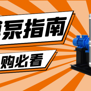 收下這份隔膜泵采購(gòu)指南，助你龍年“泵”發(fā)生產(chǎn)活力